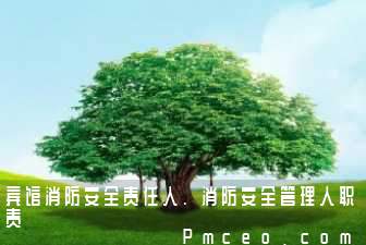 宾馆消防安全责任人、消防安全管理人职责 宾馆消防安全责任人、消防安全管理人职责