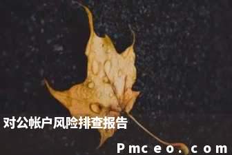 对公帐户风险排查报告 对公帐户风险排查报告