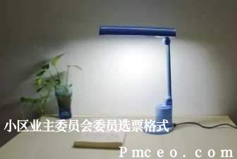 小区业主委员会委员选票格式 小区业主委员会委员选票格式