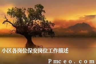 小区各岗位保安岗位工作描述 小区各岗位保安岗位工作描述
