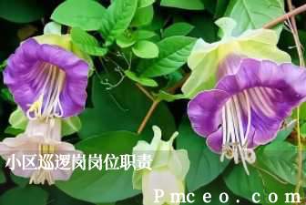 小区巡逻岗岗位职责 小区巡逻岗岗位职责