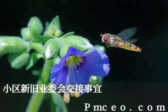 小区新旧业委会交接事宜 小区新旧业委会交接事宜