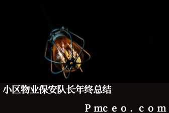 小区物业保安队长年终总结 小区物业保安队长年终总结