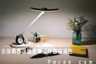 小学两基巩固提高工作自查报告 小学两基巩固提高工作自查报告