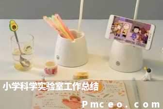 小学科学实验室工作总结 小学科学实验室工作总结