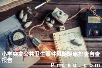 小学突发公共卫生事件风险隐患排查自查报告 小学突发公共卫生事件风险隐患排查自查报告