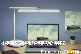 小学语文新课程标准学习心得体会 小学语文新课程标准学习心得体会