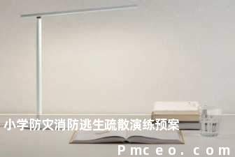 小学防灾消防逃生疏散演练预案 小学防灾消防逃生疏散演练预案