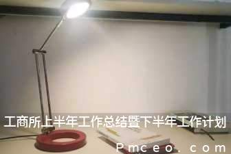 工商所上半年工作总结暨下半年工作计划 工商所上半年工作总结暨下半年工作计划