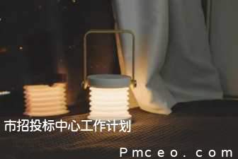 市招投标中心工作计划 市招投标中心工作计划