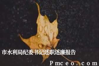 市水利局纪委书记述职述廉报告 市水利局纪委书记述职述廉报告
