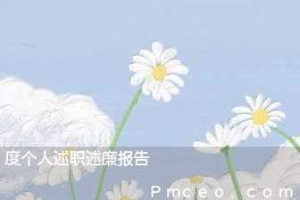 度个人述职述廉报告 度个人述职述廉报告