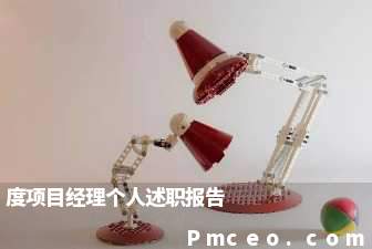 度项目经理个人述职报告 度项目经理个人述职报告