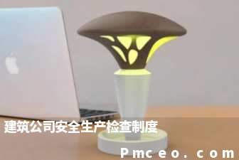 建筑公司安全生产检查制度 建筑公司安全生产检查制度