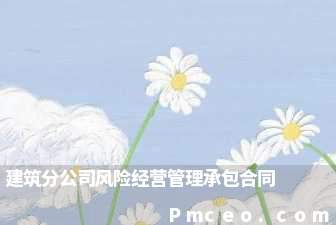 建筑分公司风险经营管理承包合同 建筑分公司风险经营管理承包合同