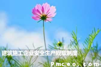 建筑施工企业安全生产规章制度 建筑施工企业安全生产规章制度