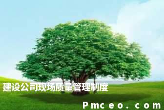 建设公司现场质量管理制度 建设公司现场质量管理制度
