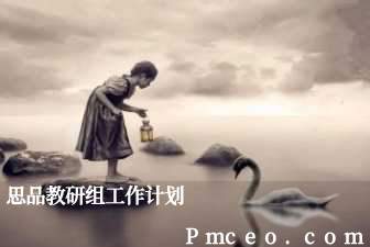 思品教研组工作计划 思品教研组工作计划