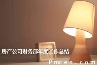 房产公司财务部年度工作总结 房产公司财务部年度工作总结