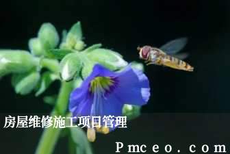 房屋维修施工项目管理 房屋维修施工项目管理