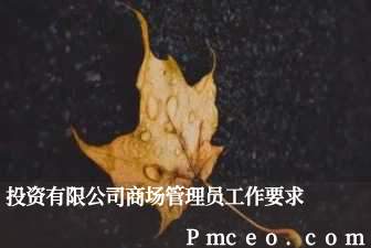 投资有限公司商场管理员工作要求 投资有限公司商场管理员工作要求