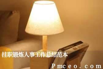 挂职锻炼人事工作总结范本 挂职锻炼人事工作总结范本