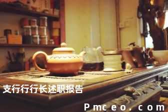 支行行行长述职报告 支行行行长述职报告