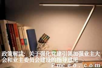 政策解读:关于强化党建引领加强业主大会和业主委员会建设的指导意见 政策解读:关于强化党建引领加强业主大会和业主委员会建设的指导意见