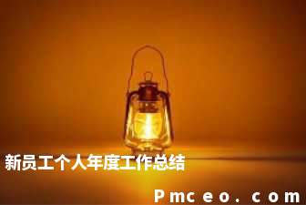 新员工个人年度工作总结 新员工个人年度工作总结