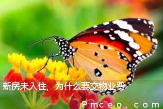 新房未入住,为什么要交物业费 新房未入住,为什么要交物业费