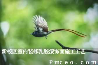 新校区室内装修乳胶漆饰面施工工艺 新校区室内装修乳胶漆饰面施工工艺