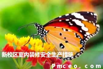 新校区室内装修安全生产措施 新校区室内装修安全生产措施