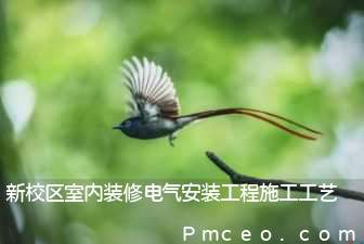 新校区室内装修电气安装工程施工工艺 新校区室内装修电气安装工程施工工艺