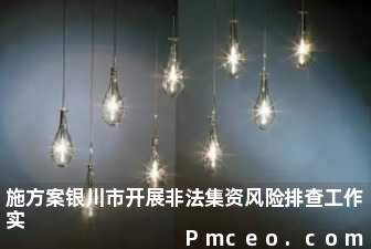 施方案银川市开展非法集资风险排查工作实 施方案银川市开展非法集资风险排查工作实