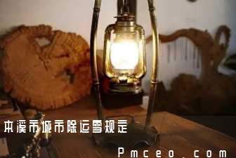 本溪市城市除运雪规定 本溪市城市除运雪规定