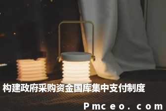 构建政府采购资金国库集中支付制度 构建政府采购资金国库集中支付制度