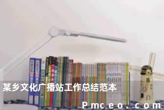 某乡文化广播站工作总结范本 某乡文化广播站工作总结范本