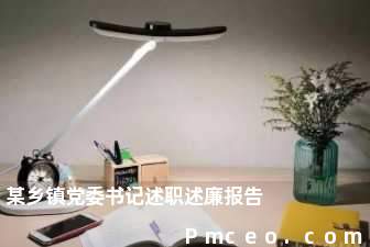 某乡镇党委书记述职述廉报告 某乡镇党委书记述职述廉报告