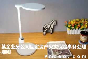 某企业分公司固定资产火灾保险事务处理准则 某企业分公司固定资产火灾保险事务处理准则