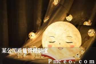 某公司质量管理制度 某公司质量管理制度