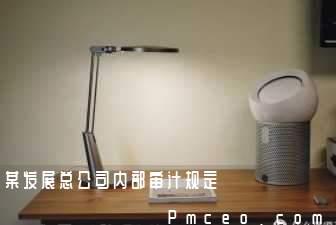 某发展总公司内部审计规定 某发展总公司内部审计规定