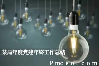 某局年度党建年终工作总结 某局年度党建年终工作总结