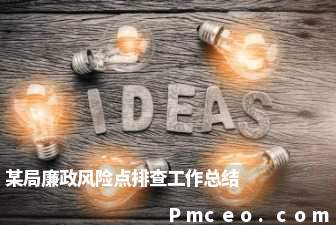 某局廉政风险点排查工作总结 某局廉政风险点排查工作总结