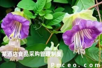 某酒店食品采购管理制度 某酒店食品采购管理制度