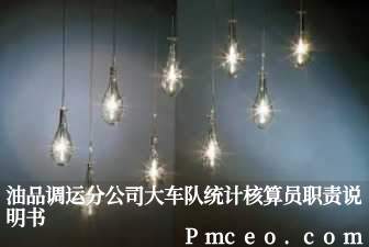 油品调运分公司大车队统计核算员职责说明书 油品调运分公司大车队统计核算员职责说明书