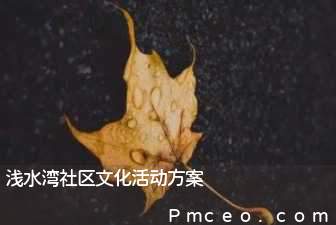 浅水湾社区文化活动方案 浅水湾社区文化活动方案