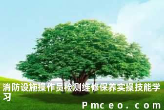 消防设施操作员检测维修保养实操技能学习 消防设施操作员检测维修保养实操技能学习