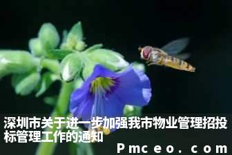 深圳市关于进一步加强我市物业管理招投标管理工作的通知 深圳市关于进一步加强我市物业管理招投标管理工作的通知