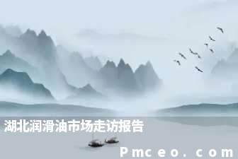 湖北润滑油市场走访报告 湖北润滑油市场走访报告