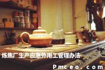 炼焦厂生产应急外用工管理办法 炼焦厂生产应急外用工管理办法